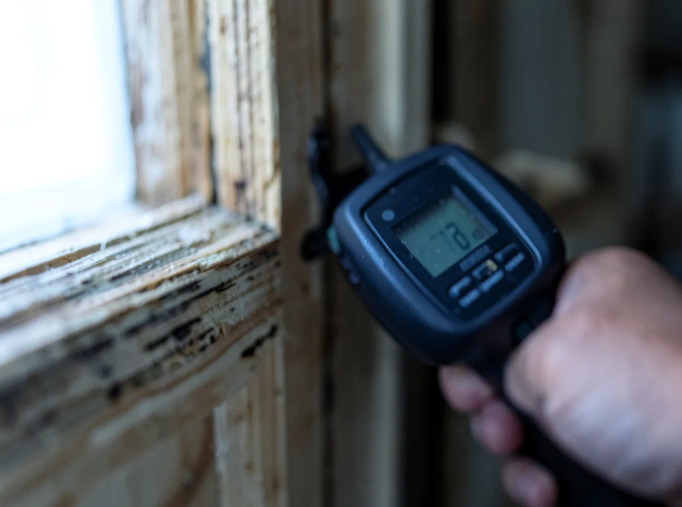 Moisture Inspection And Documentation in London Mills, IL